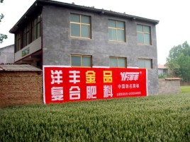 周口如何让墙体广告展现最大化效果