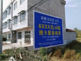 周口墙体广告质量分析