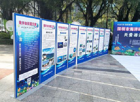 周口KT板的种类和知识。